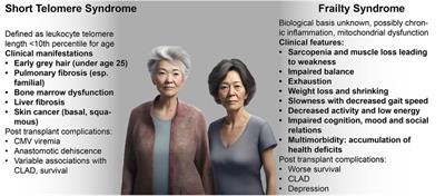 Immune aging: biological mechanisms, clinical symptoms, and management in lung transplant recipients